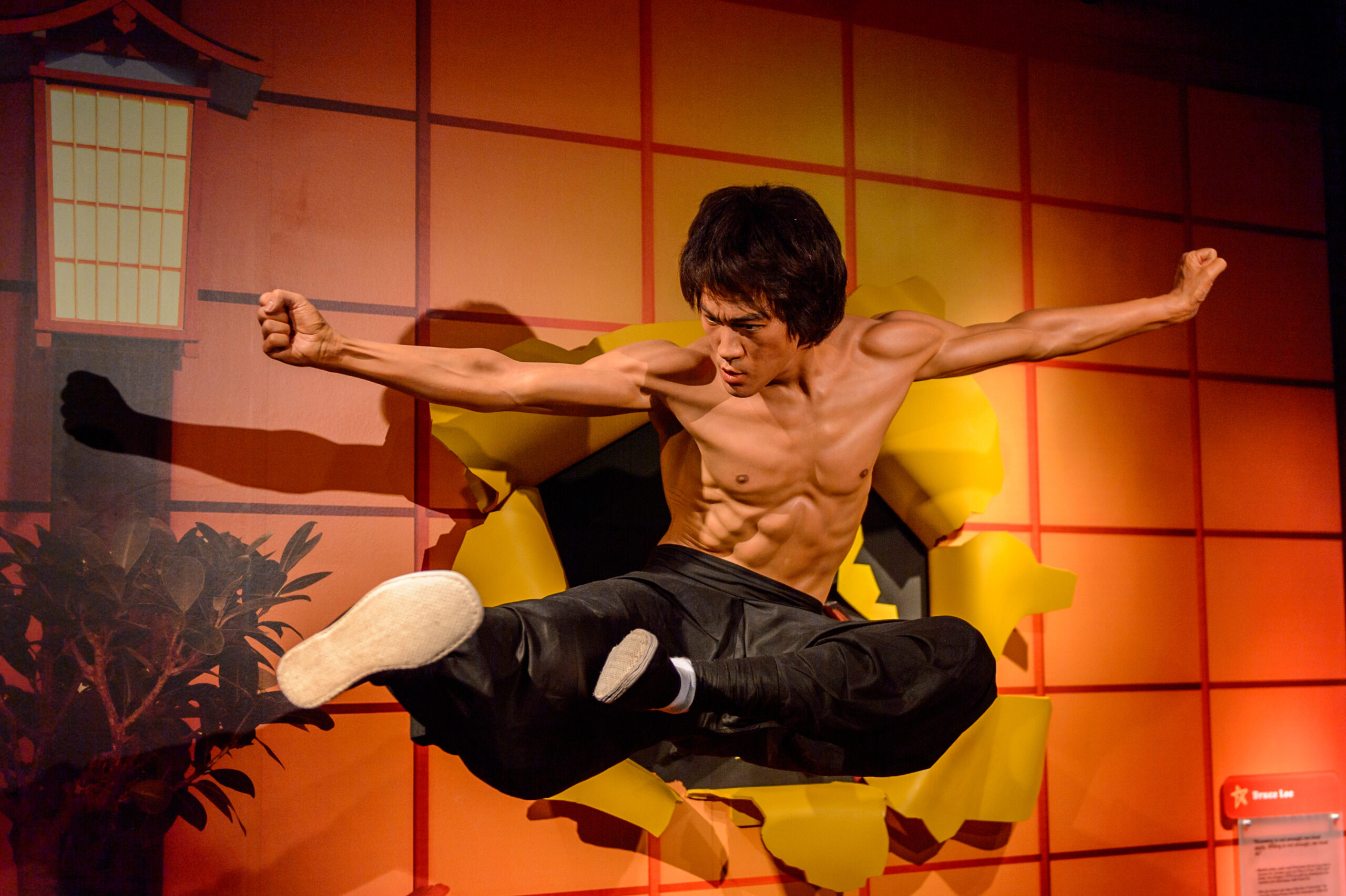 Was Bruce Lee gay? There are rumors about his sexuality to this day.